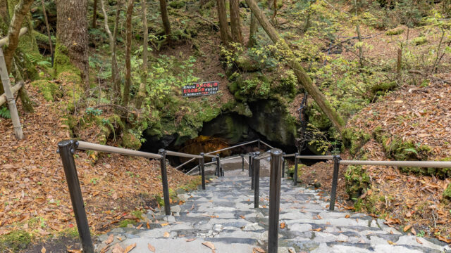山梨観光「富岳風穴」は、青木ヶ原樹海の豊かな緑に囲まれた天然の冷蔵庫だぞ！